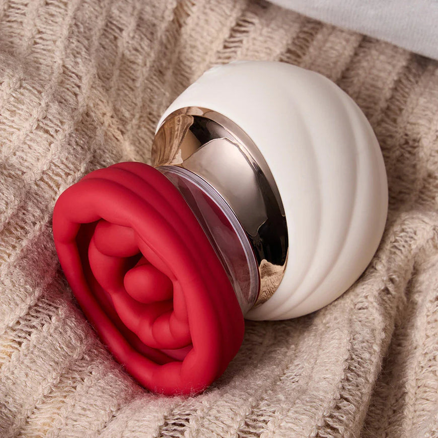 Camellia