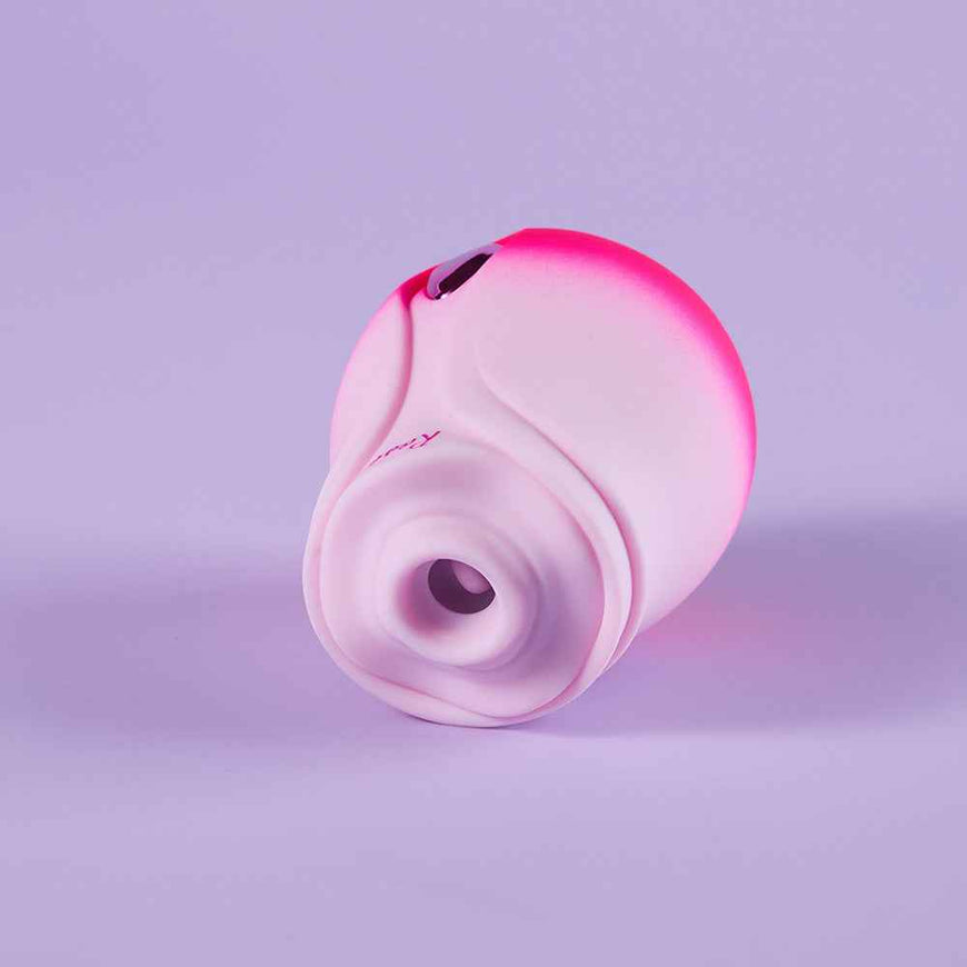 Pink Rose