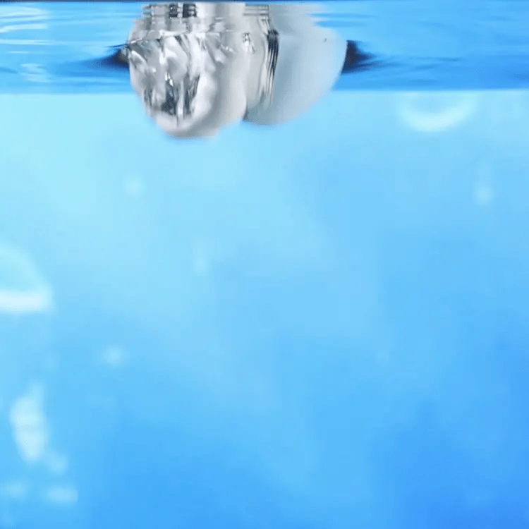 Touch Jellyfish
